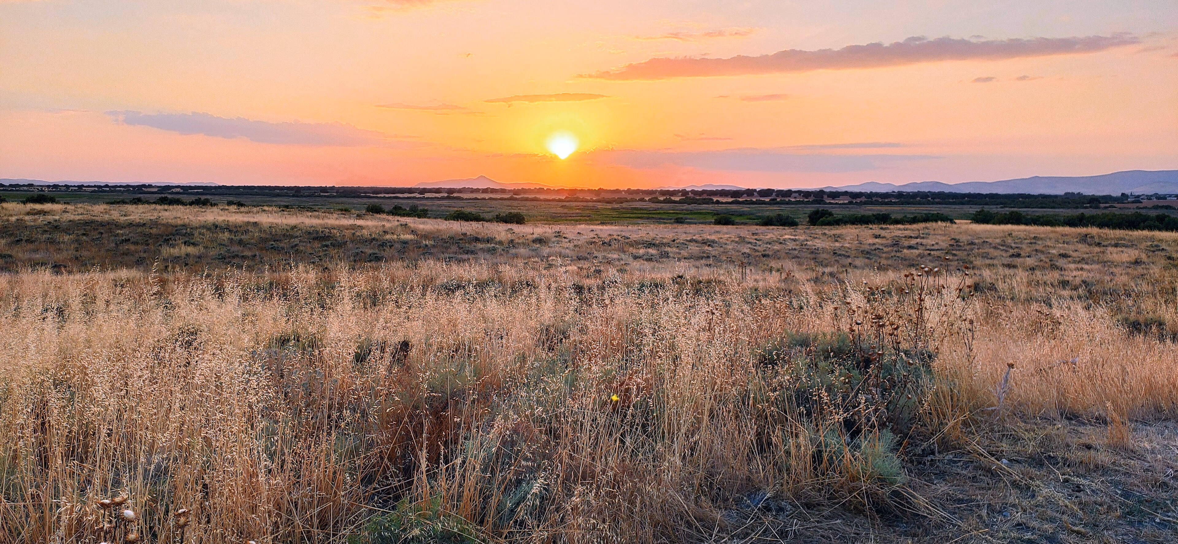 Atardecer dorado sobre el Parque Nacional Las Tablas de Daimiel